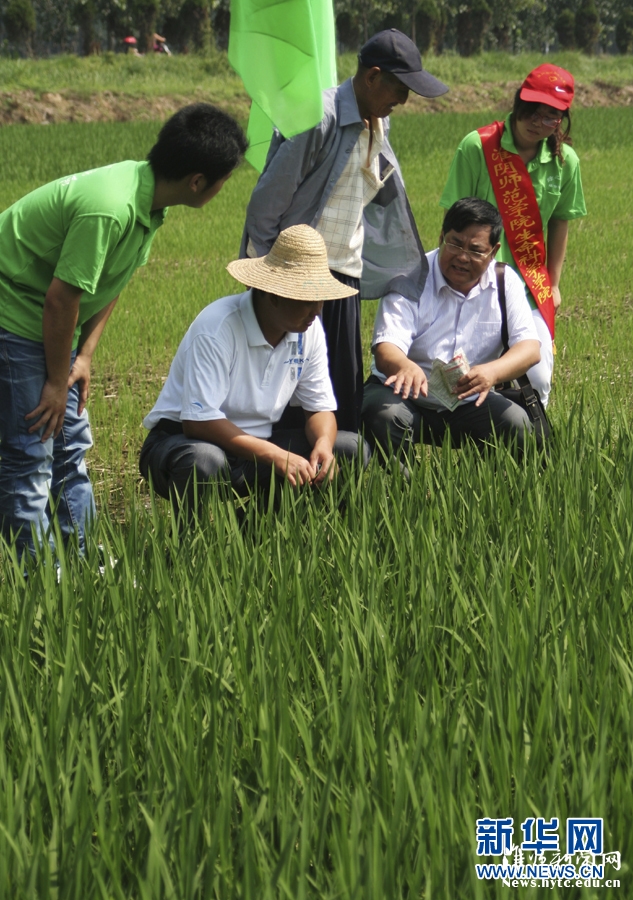 7月9日，江苏必博手机网页版生科院的大学生志愿者与老师一起在田间向农民讲解科学的杀虫方法。